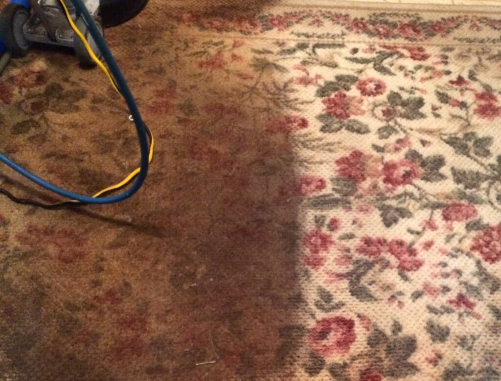 Rug Cleaning Before and After