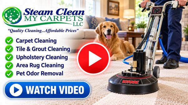 steam_clean_carpet_care_video_600 Steam Clean My Carpets Intro Video